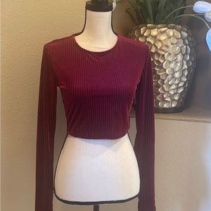Forever 21 Velvet Top